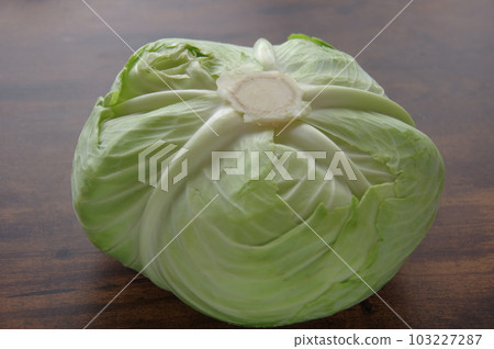 捲心菜 新鮮捲心菜 捲心菜 新鮮捲心菜 103227287