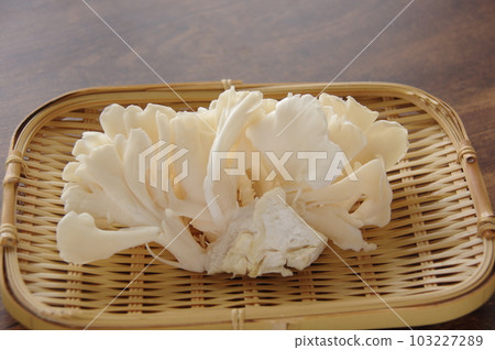 White Maitake Mushroom Maitake White Maitake Mushroom Maitake 103227289