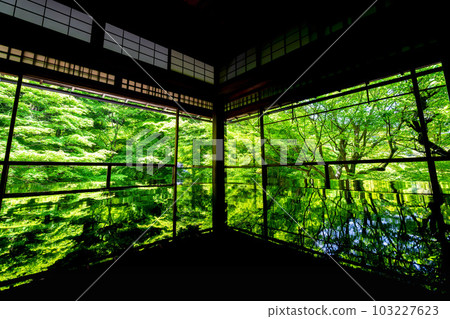 京都府京都市青楓和松陰的清新綠景中的琉璃光院 103227623