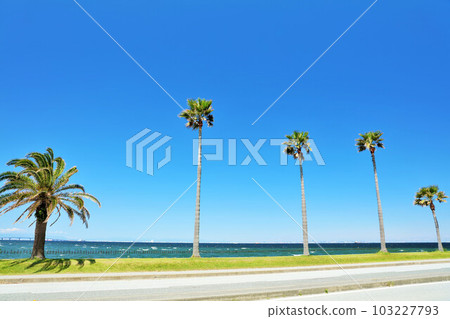 Chiba Prefecture Blue Sky Chiba Fornia Chiba Prefecture Blue Sky Chiba Fornia 103227793