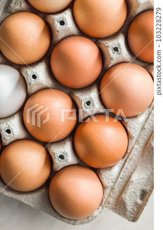 Whole chicken eggs in eggbox. Top view. Whole chicken eggs in eggbox. Top view. 103228279
