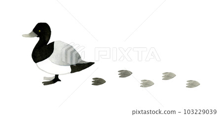 Sugamo and footprints Hand-drawn watercolor illustration material of cute and loose animals 103229039