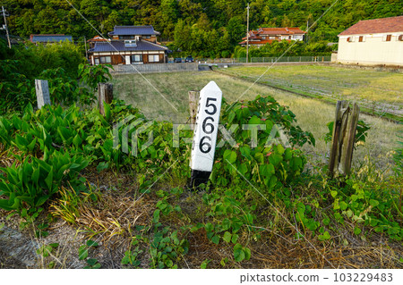Sanin Main Line 566 km post Nagato Oi Station Sanin Main Line 566 km post Nagato Oi Station 103229483