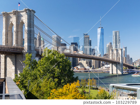 Brooklyn bridge and Manhattan skyscrapers 103229789