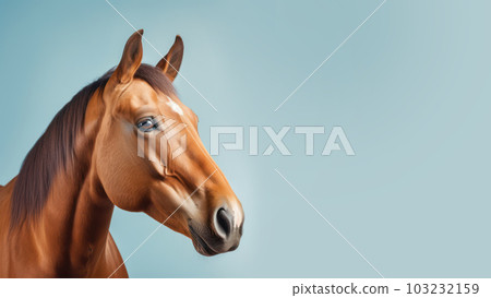 Advertising portrait, banner, noble expensive brown horse with perfect coat, simple look, isolated on neutral blue-gray background. Generated Ai. High quality illustration 103232159