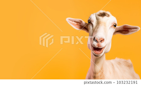 Advertising portrait, banner of a smiling white beautiful lone goat isolated on a neutral yellow background. Generated Ai. High quality illustration Advertising portrait, banner of a smiling white beautiful lone goat isolated on a neutral yellow background. Generated Ai. High quality illustration 103232191