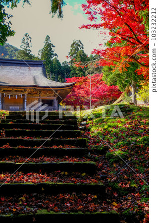 Jinguji Temple in late autumn 103232212