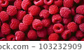 Raspberry close up view , great design for any purposes , generated AI  103232909