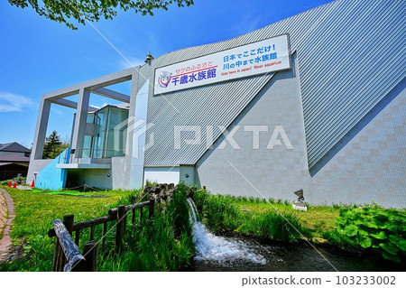 Salmon Hometown Chitose Aquarium Salmon Hometown Chitose Aquarium 103233002