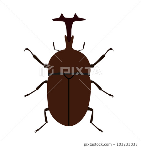 Beetle illustration 103233035
