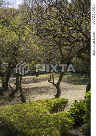 東城丘歷史公園周邊景色 東城丘歷史公園周邊景色 103233509