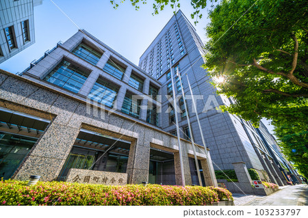 The cityscape of Tokyo in Japan, overlooking the National Municipal Hall 103233797