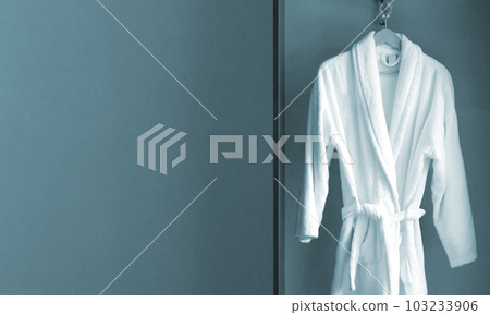 Hanger with clean white bathrobe in hotel wardrobe. Space for text Hanger with clean white bathrobe in hotel wardrobe. Space for text 103233906