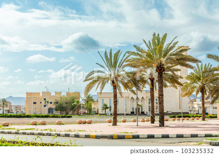Hail city central square with palms in the front, Hail, Saudi Arabia 103235332