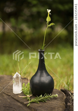 Witch altar with alchemy ingredients 103235441