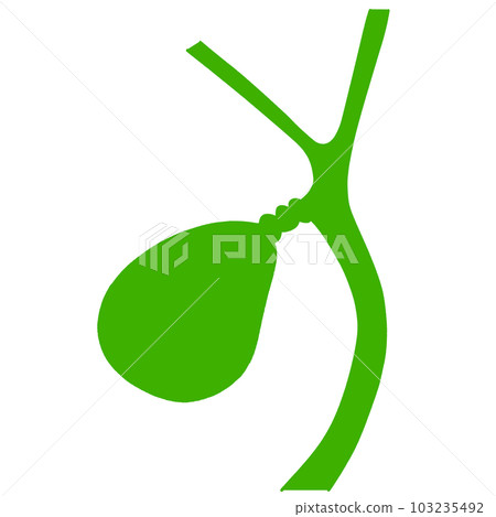 Illustration of a healthy gallbladder Illustration of a healthy gallbladder 103235492