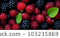 Raspberry and berries close up view , great design for any purposes , generated AI  103235869