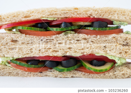 Vegeterian sandwich with fresh vegetables 103236260