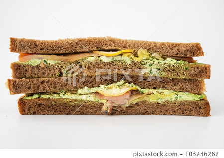 Red salmon fish sandwich Red salmon fish sandwich 103236262