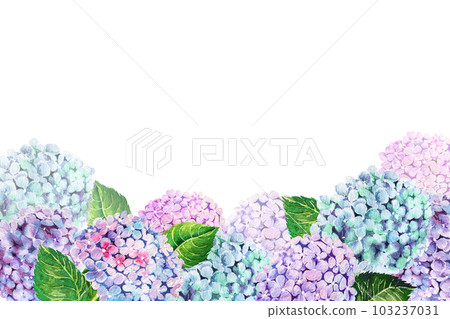 hydrangea flower watercolor illustration for frame and postcard. decorating ideas for invitation cards hydrangea flower watercolor illustration for frame and postcard. decorating ideas for invitation cards 103237031