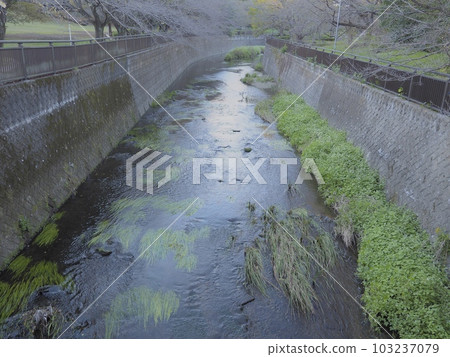 Setagaya river scenery Setagaya river scenery 103237079