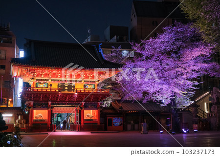 東京都千代田區神田明神，櫻花在春天的夜晚點亮 103237173