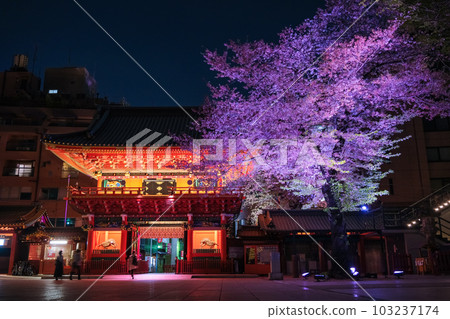 東京都千代田區神田明神，櫻花在春天的夜晚點亮 103237174