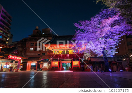 東京都千代田區神田明神,櫻花在春天的夜晚點亮 東京都千代田區神田明神,櫻花在春天的夜晚點亮 103237175