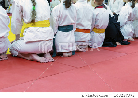 Children in kimono sitting in a line on tatami 103237372
