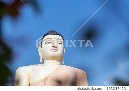 Great Buddha in Kande Vihara Temple, Sri Lanka Great Buddha in Kande Vihara Temple, Sri Lanka 103237413