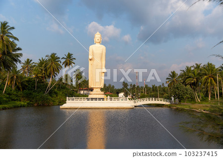 Buddha Statue - Tsunami Memorial in Peraliya, Sri Lanka Buddha Statue - Tsunami Memorial in Peraliya, Sri Lanka 103237415