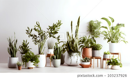 在地板上排列的逼真的觀葉植物 - 生成式 AI 103237926