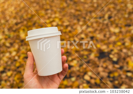 Unrecognizable woman hand holding Eco zero waste white paper cup copy space mockup. Fall leaves and cup of tea coffee to go next to autumn nature. Unite with nature 103238042