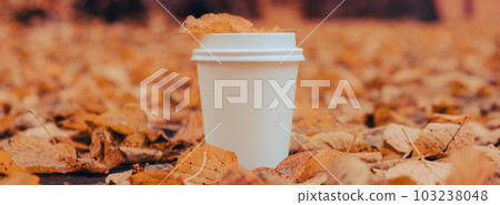 Eco zero waste white paper cup copy space mockup. Fall leaves and cup of tea coffee to go next to autumn nature. Unite with nature Eco zero waste white paper cup copy space mockup. Fall leaves and cup of tea coffee to go next to autumn nature. Unite with nature 103238048