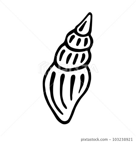 Sea shell. Hand-drawn stylized image of seashell. Graphic black and white image isolated on white background. Vector illustration. Sea shell. Hand-drawn stylized image of seashell. Graphic black and white image isolated on white background. Vector illustration. 103238921