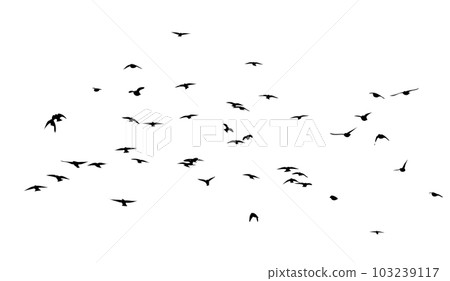 A flock of flying birds. Free birds. Vector illustration 103239117