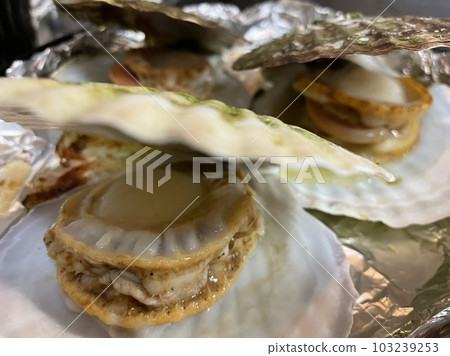 Grilled scallops Grilled scallops 103239253