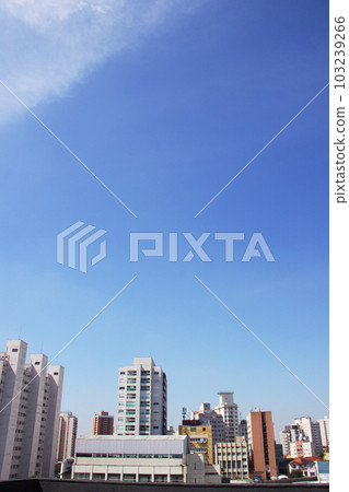 Sao Paulo Building and Blue Sky Brazil Sao Paulo Building and Blue Sky Brazil 103239266