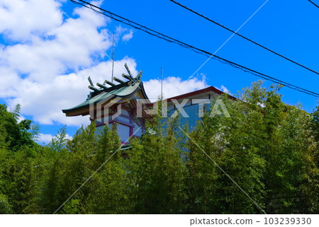 Around Sobataka Shrine, Matsudo City, Chiba Prefecture May 2023 103239330