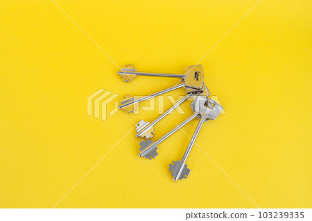 The new keys to the apartment are on the yellow table The new keys to the apartment are on the yellow table 103239335