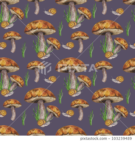 Seamless pattern boletus edible forest mushroom. Snail, green grass. Botanical drawing. Hand-drawn watercolor illustration on dark background. For card, poster 103239489