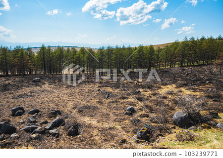 野火的痕跡【霧峰高原】 野火的痕跡【霧峰高原】 103239771