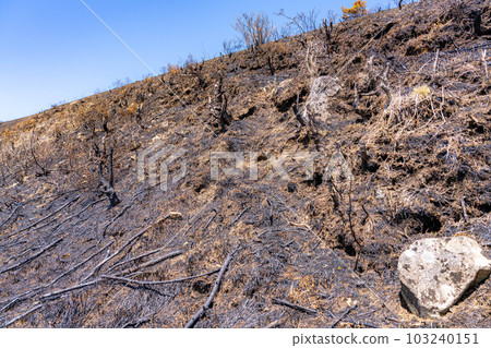 [災難圖像] Kirigamine Highlands [長野縣]的野火遺跡 103240151