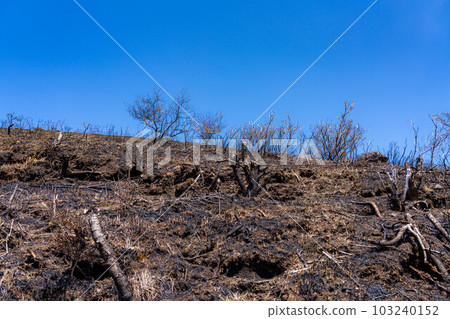 [災難圖像] Kirigamine Highlands [長野縣]的野火遺跡 103240152