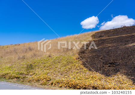 [災難圖像] Kirigamine Highlands [長野縣]的野火遺跡 103240155