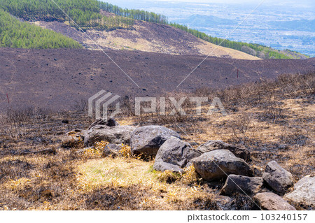 [Disaster image] Remains of wildfire in Kirigamine Highlands [Nagano Prefecture] 103240157