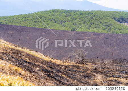[Disaster image] Remains of wildfire in Kirigamine Highlands [Nagano Prefecture] 103240158