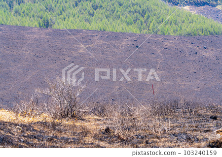 [災難圖像] Kirigamine Highlands [長野縣]的野火遺跡 103240159