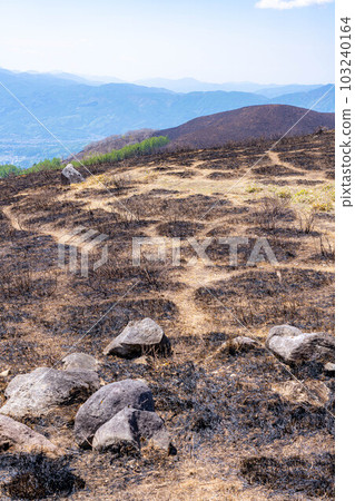 [災難圖像] Kirigamine Highlands [長野縣]的野火遺跡 103240164