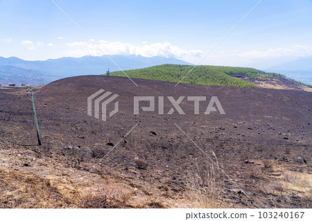 [Disaster image] Remains of wildfire in Kirigamine Highlands [Nagano Prefecture] 103240167